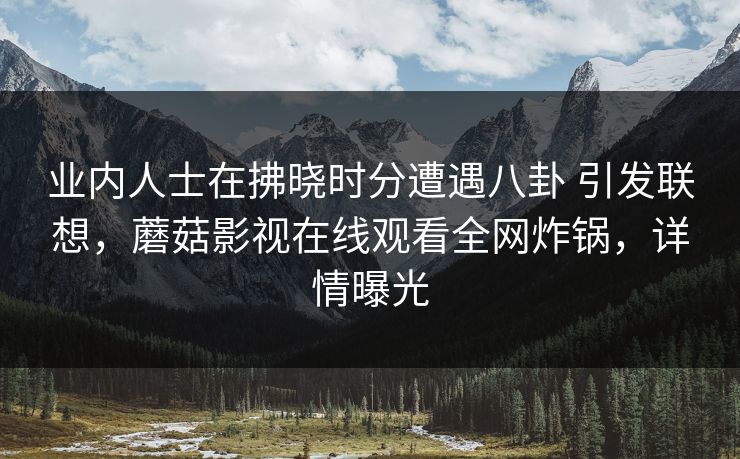 业内人士在拂晓时分遭遇八卦 引发联想，蘑菇影视在线观看全网炸锅，详情曝光
