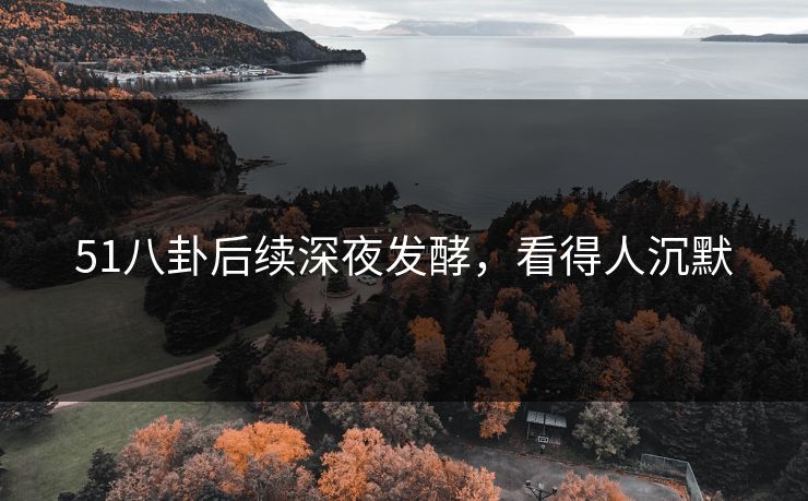 51八卦后续深夜发酵，看得人沉默